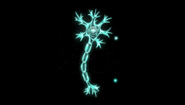 motion graphics animation of human neuron 