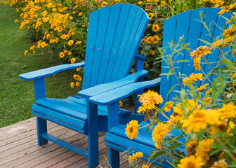 Blue lawn chairs on a patio surrounded by flower beds full of rubeckia.