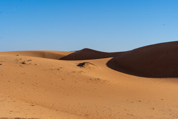 Desert landscape under a clear blue sky