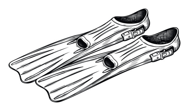 A pair of classic swimming fins for underwater exploration and aquatic sports, perfect for illustrating ocean adventures, diving lessons, or summer vacation themes. - Powered by Adobe