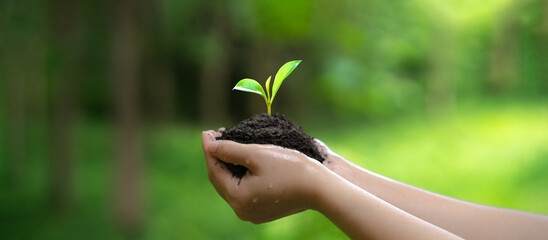 The idea for World Environment Day: Holding a growing sapling, preparing to return it to the forest with a green heart. We support the planet and pass on hope with our own two hands.