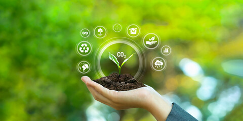 The saplings are growing, working for the world, collaborating with technology and nature for a carbon-free future and a sustainable world.