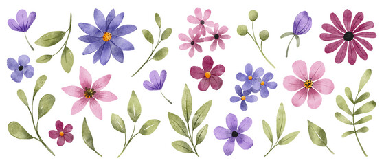 Obraz premium Flowers and leaves digital illustration, spring design, watercolor hand painting. Perfectly for printing, sublimation.