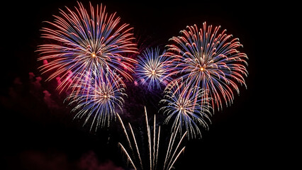 Vibrant fireworks display in night sky