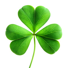A vibrant close up of a four leaf clover showcasing its detail on transparent