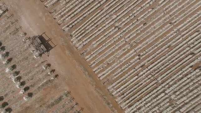 Aerial view of rows of crops creating a textured pattern of light and dark tones across the field, Voi, Taita-Taveta County, Kenya.