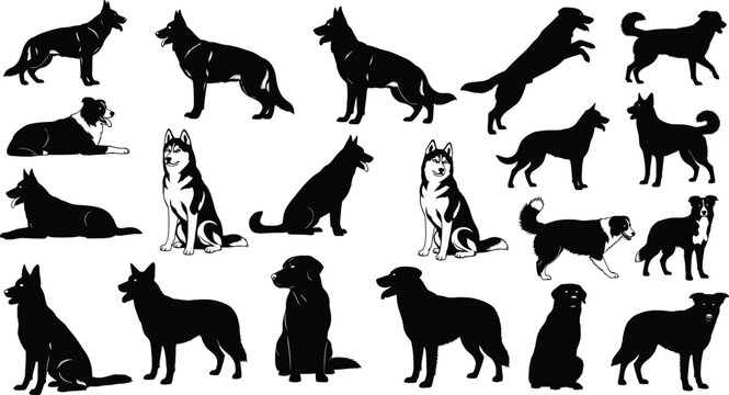 Detailed Black and White Vector Illustration Set Featuring Various Canine Breed Silhouettes Active Poses and Distinctive Breed Profiles