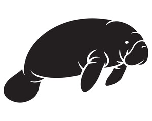 Manatee 12.eps