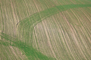 Overhead View of Strip-Cropped Agricultural Land in Ceyhan: Abstract Landscape of Alternating Green Crops and Brown Soil Patterns on Rolling Hills in Adana