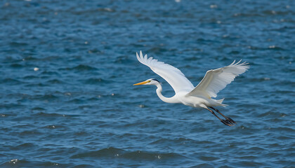 Fototapeta premium seagull flying over the water