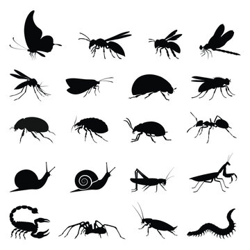 Side View of Black Insect Silhouettes Collection