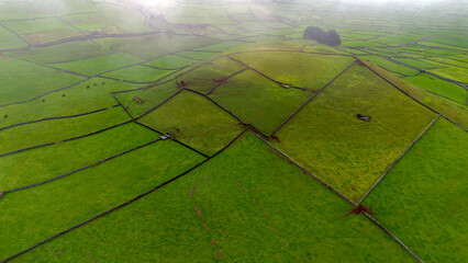 green grass field in a volcanic cone in Azores  © António Duarte