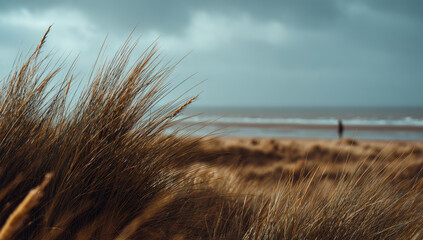 Moody Beach Scene - Grass, Sand, and a Distant Figure Under a Cloudy Sky.