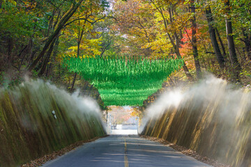 충북 단양군 이끼터널의 가을 풍경