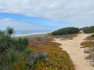 Sandy Coastal Path Along the Atlantic Ocean in Nazar&eacute;, Portugal
