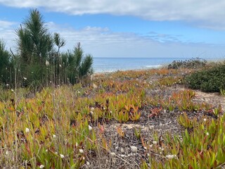 Sandy Coastal area in Nazar&eacute;, Portugal
