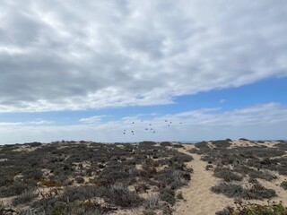 Sandy Coastal Path Along the Atlantic Ocean in Nazar&eacute;, Portugal
