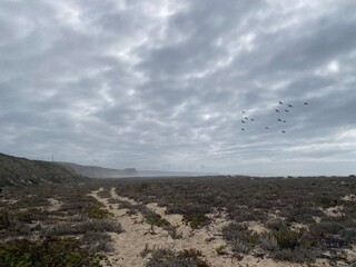 clouds over the city