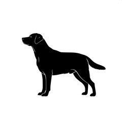 Fototapeta premium “Flat vector illustration of a Labrador dog silhouette, elegant and simple, no shading, high contrast design.”