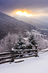 winter landscape carpathian mountains at sunrise. trees and wooden fence on snow covered hill. scenic view in to the remote alpine valley. rural area of trascarpathia, ukraine under overcast sky
