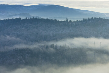 Misty mountain forest layers in winter landscape, Beskid Mountains, Poland