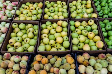 Fresh Apples And Peaches In Boxes For Sale At Farmers Market