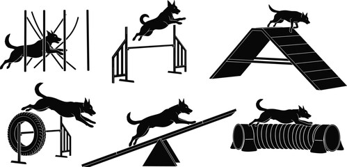 Dog agility, silhouette dog, dog training, obstacle course, weave poles, dog jump, tire jump, dog tunnel, dog ramp, dog seesaw, active dog, sport dog, agility course, dog competition © Ezazul Haque
