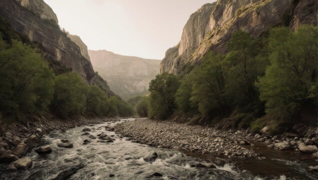A river winds through a narrow canyon, with trees lining the banks and cliffs rising on either side