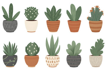 Fototapeta premium A collection of various potted plants and succulents on a white background