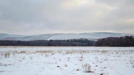 Fototapeta premium Winter landscape with snow-covered field and distant hills under a cloudy sky