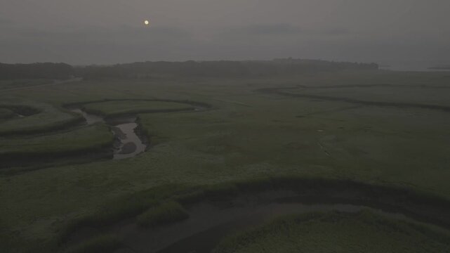 Aerial view of winding streams cutting through verdant marshland under a dim sky, contrasting with the dark tree line, Gloucester, Massachusetts, United States.