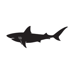 shark vector illustration