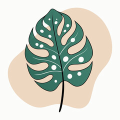 Minimalist Monstera deliciosa tropical leaf illustration