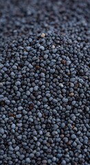 Detailed macro photograph of a large pile of small black and bluish poppy seeds, showcasing fine texture, ideal for bakery ingredients and culinary backgrounds ,pastry ,food ,heap