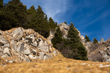 Rocky alpine hillside with evergreen trees and dry grass under a deep blue sky. Natural mountain landscape with stone formations and conifer forest in early winter. Minimal outdoor background