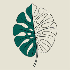 Minimalist Monstera deliciosa tropical leaf illustration