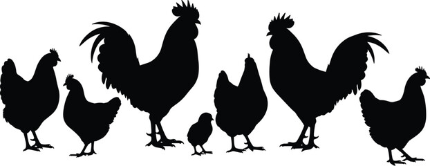 Fototapeta premium Silhouette of farm chickens and roosters standing in a row isolated on white background for poultry farming and livestock design
