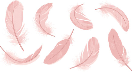 Soft Pink Feather Illustration Collection with Delicate Light Plumes and Gentle Decorative Elements Elegant Vector Set © MstTanzila
