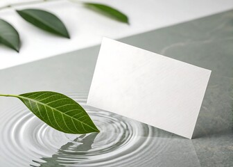 Floating Blank White Card With Leaf Minimal Concept