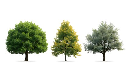 Obraz premium Would you like me to generate more variations for different types of trees, such as oak or pine?