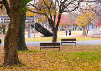 秋の静かな公園