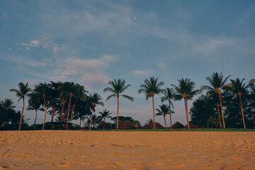 Naklejka premium A line of tall palm trees stands above an open sandy beach under a glowing sunset sky, with a small crescent moon rising for a tropical evening. Natai Beach, Phang Nga, Thailand
