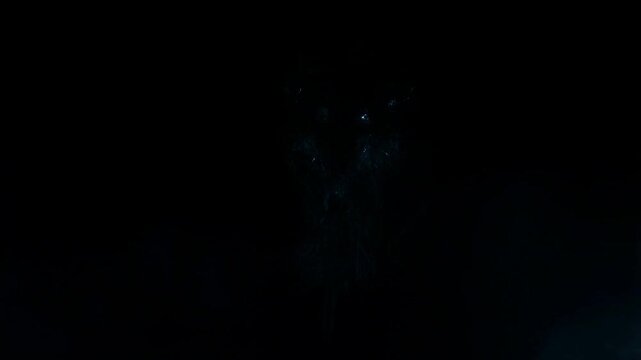 Ethereal entity emerges: mesmerizing creature unveils enigmatic dance of light and shadow