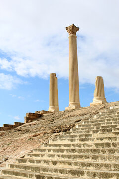 Ancient roman column in Oudhna tunisia , north africa