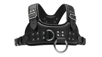 Black leather chest harness with silver metal buckles and rings on black background black leather harness