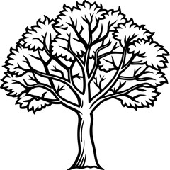 Obraz premium Locust tree line art vector
