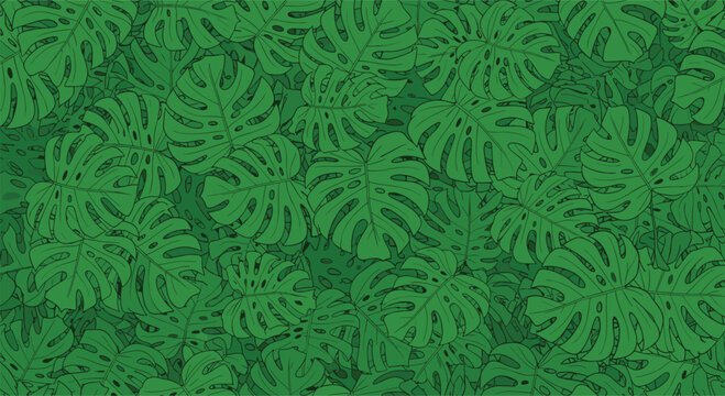A lush and dense background pattern of overlapping green monstera leaves, creating a seamless tropical jungle foliage texture for wallpapers or textiles.