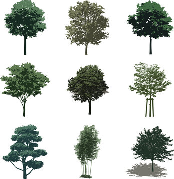 Set of 9 green vector trees, flat foliage silhouettes, isolated.