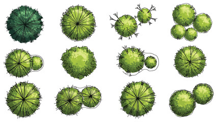 Isolated Vector Tree Top View for Landscape Design, Architecture, and Garden Planning © Uttpol Saha