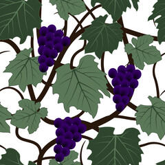 Branch of grapes with leaves and berries seamless vector pattern